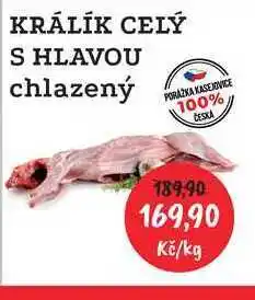 RABBIT řeznictví KRÁLÍK CELÝ S HLAVOU chlazený nabídka