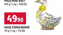 Terno HUSA ČOKOLÁDOVÁ nabídka