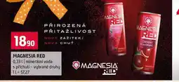 Terno MAGNESIA RED 0,33l minerální voda s příchutí vybrané druhy nabídka