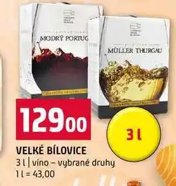 Terno VELKÉ BÍLOVICE 3l vino vybrané druhy nabídka