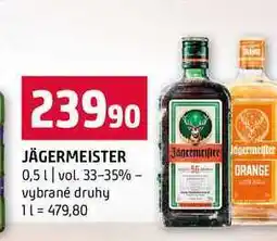Terno JÄGERMEISTER 0,5l vol. 33-35% vybrané druhy nabídka