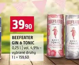 Terno BEEFEATER GIN & TONIC 0,25l vol. 4,9% vybrané druhy nabídka