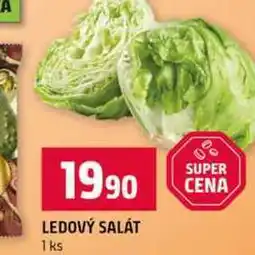 Terno LEDOVÝ SALÁT 1ks nabídka