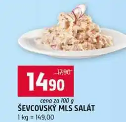 Terno ŠEVCOVSKÝ MLS SALÁT nabídka