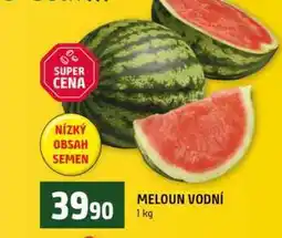 Terno MELOUN VODNÍ nabídka