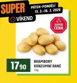 Terno BRAMBORY KONZUMNÍ RANÉ nabídka