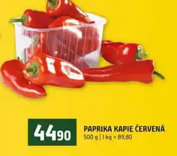 Terno PAPRIKA KAPIE ČERVENÁ nabídka
