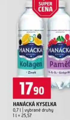 Terno HANÁCKÁ KYSELKA 0,7l vybrané druhy nabídka