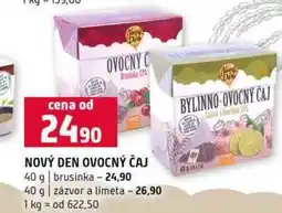 Terno NOVÝ DEN OVOCNÝ ČAJ 40 g brusinka 40 g zázvor a limeta nabídka