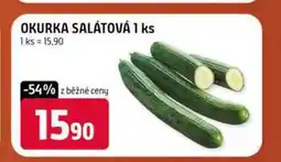 Terno OKURKA SALÁTOVÁ 1 ks nabídka