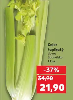 Kaufland Celer řapíkatý nabídka