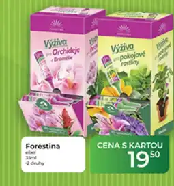 Tamda Foods Forestina nabídka
