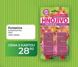 Tamda Foods Forestina nabídka