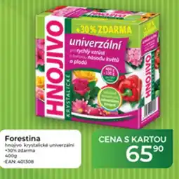 Tamda Foods Forestina nabídka