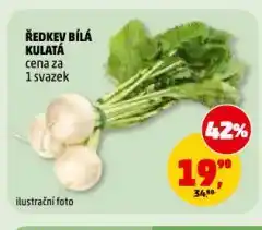 Penny Market Ředkev bílá nabídka