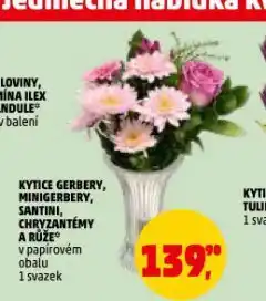 Penny Market Kytice gerbery, minigerbery, santini, chryzantémy a růže nabídka