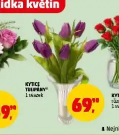 Penny Market Kytice tulipány nabídka