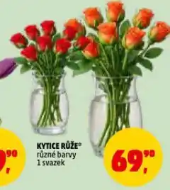 Penny Market Kytice růže nabídka