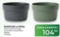 Tamda Foods Květináč a Mísa nabídka