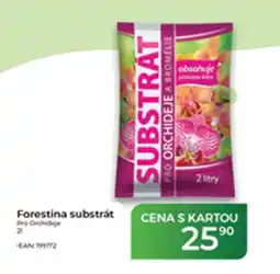 Tamda Foods Forestina substrát nabídka