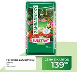 Tamda Foods Forestina zahradnický nabídka