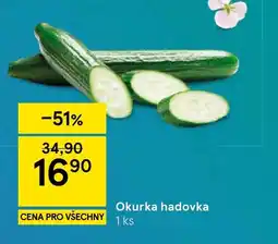 Tesco Okurka hadovka nabídka
