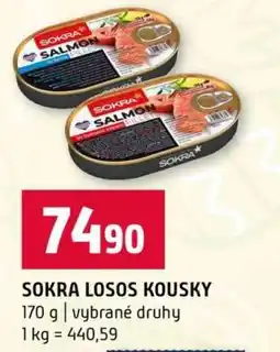 Terno SOKRA Losos kousky nabídka