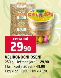 Terno Velikonoční osení nabídka