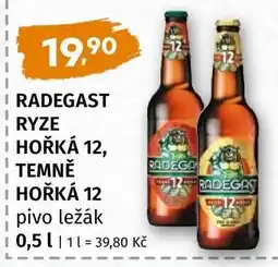 Terno RADEGAST RYZE HOŘKÁ 12, TEMNĚ HOŘKÁ 12 pivo ležák nabídka