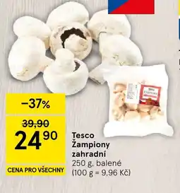 Tesco Tesco Zampiony zahradní nabídka