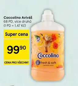 Tesco Coccolino Aviváž nabídka