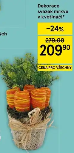 Tesco Dekorace svazek mrkve v květináči nabídka