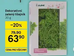 Tesco Dekorativní zelený lišejník nabídka