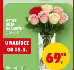 Penny Market KYTICE RÜZE HARLEKÝN, 1 svazek nabídka