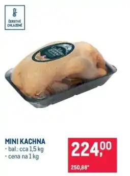 Makro Mini kachna nabídka