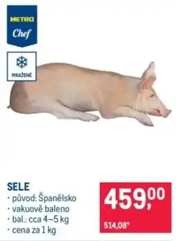 Makro Sele nabídka