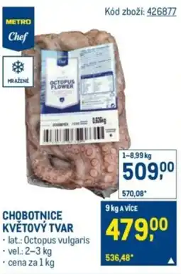 Makro Chobotnice květový tvar nabídka