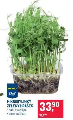 Makro MIKROBYLINKY ZELENÝ HRÁŠEK nabídka
