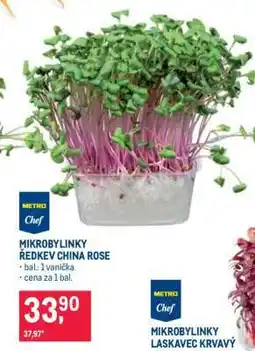 Makro MIKROBYLINKY ŘEDKEV CHINA ROSE nabídka