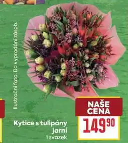 Billa Kytice s tulipány jarni 1 svazek nabídka