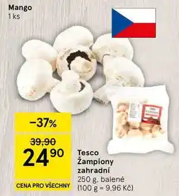 Tesco Tesco Žampiony zahradní, 250 g. balené nabídka
