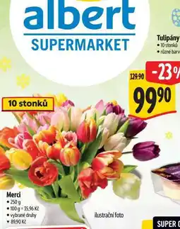 Albert Tulipány 10 stonků nabídka