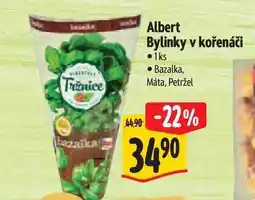 Albert Albert Bylinky v kořenáči Bazalka, Máta, Petržel nabídka
