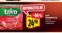 Albert Loyd Pyramidový čaj nabídka