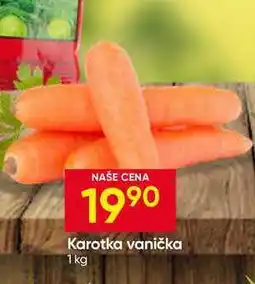 Hruška Karotka vanička nabídka