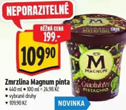 Albert Zmrzlina Magnum pinta nabídka