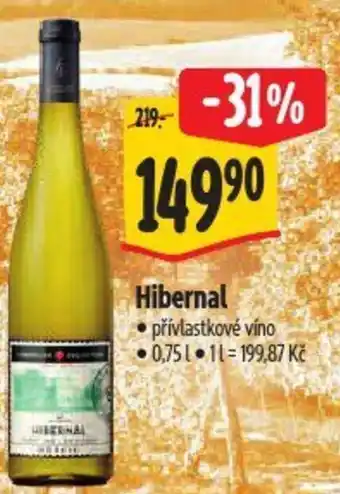 Albert Hibernal nabídka