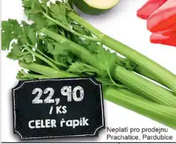 Jip Celer řapík nabídka