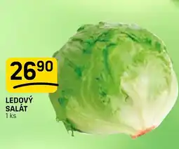 Flop Ledový salát nabídka