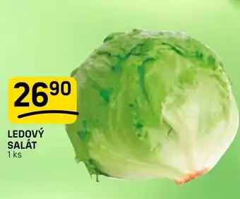 Flop Ledový salát nabídka